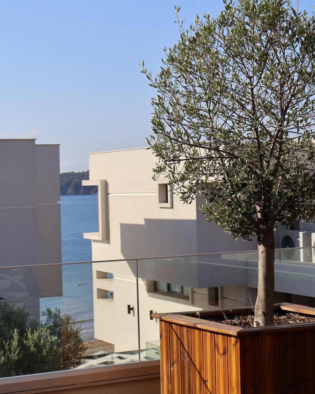 Olive Villas Beach Hotel Σωζόπολη Εξωτερικό φωτογραφία